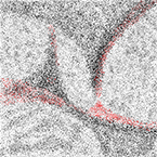 Na granicy światów 01