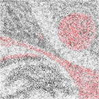 Na granicy światów 04